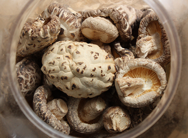 Fresh Mushroom Cultivation